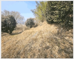  2025Ÿ20484 泲  û  597-3      (Ӿ)