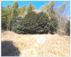  2025Ÿ20484 泲  û  597-3      (Ӿ)