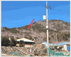  2025Ÿ20835 泲  Ͽ ҵ 14-7      (Ӿ)