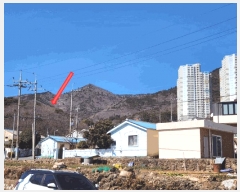  2025Ÿ20835 泲  Ͽ ҵ 14-7      (Ӿ)