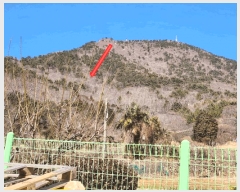  2025Ÿ20835 泲  Ͽ ҵ 14-7      (Ӿ)