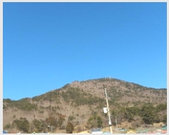  2025Ÿ20835 泲  Ͽ ҵ 14-7      (Ӿ)