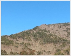  2025Ÿ20835 泲  Ͽ ҵ 14-7      (Ӿ)