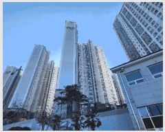  2025Ÿ20910 泲  Ͽ  1412 ھƷũ帲 102 212103ȣ   Ʈ