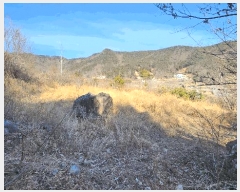  2025Ÿ20979 泲  ʸ 縮 702      ()