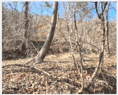  2025Ÿ20979 泲  ʸ 縮 702      ()