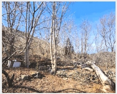  2025Ÿ20979 泲  ʸ 縮 702      ()