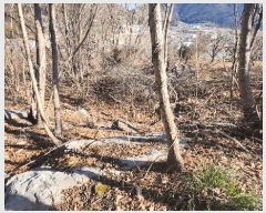  2025Ÿ20979 泲  ʸ 縮 702      ()