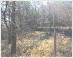  2025Ÿ20979 泲  ʸ 縮 702      ()