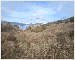  2025Ÿ��21020 �泲 ������ �Ͽ�� �������� 383      ����(��1)���