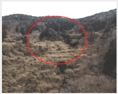  2025Ÿ��21020 �泲 ������ �Ͽ�� �������� 383      ����(��1)���