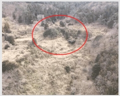  2025Ÿ��21020 �泲 ������ �Ͽ�� �������� 383      ����(��1)���