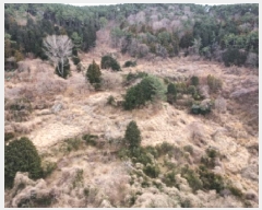  2025Ÿ��21020 �泲 ������ �Ͽ�� �������� 383      ����(��1)���