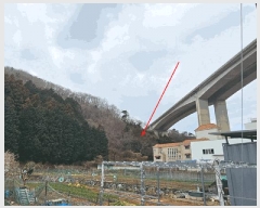  2025Ÿ��21060 �泲 ������ ������ ��193       ����(�Ӿ�)���