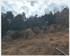  2025Ÿ��21060 �泲 ������ ������ ��193       ����(�Ӿ�)���