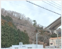  2025Ÿ��21060 �泲 ������ ������ ��193       ����(�Ӿ�)���