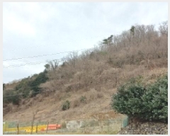  2025Ÿ��21060 �泲 ������ ������ ��193       ����(�Ӿ�)���