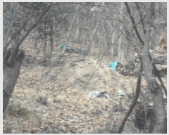  2025Ÿ21068 泲   Ҹ 50-4      (Ӿ)