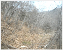  2025Ÿ21068 泲   Ҹ 50-4      (Ӿ)