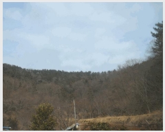  2025Ÿ21068 泲   Ҹ 50-4      (Ӿ)