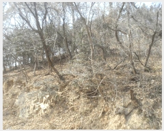  2025Ÿ21068 泲   Ҹ 50-4      (Ӿ)