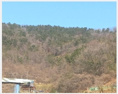  2025Ÿ21068 泲   Ҹ 50-4      (Ӿ)