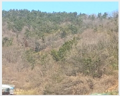  2025Ÿ21068 泲   Ҹ 50-4      (Ӿ)