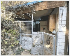  2025Ÿ��21092  ���ð��