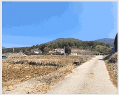  2025Ÿ21124 泲  θ ̸ 328-11      ()