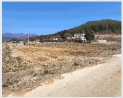  2025Ÿ21124 泲  θ ̸ 399      (1)