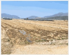  2025Ÿ21124 泲  θ ̸ 399      (1)