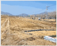  2025Ÿ21124 泲  θ ̸ 399      (1)