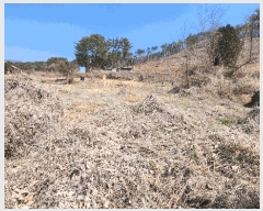  2025Ÿ21124 泲  θ ̸ 399      (1)