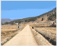  2025Ÿ21124 泲  θ ̸ 399      (1)