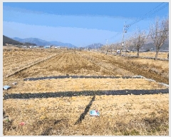  2025Ÿ21124 泲  θ ̸ 399      (1)