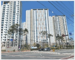  2025Ÿ21172 泲   1243  108 101001ȣ    Ʈ