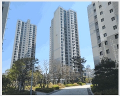  2025Ÿ21172 泲   1243  108 101001ȣ    Ʈ