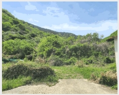  2025Ÿ��21222  ����