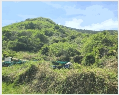  2025Ÿ��21222  ����