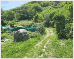  2025Ÿ��21222  ����