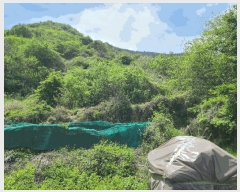  2025Ÿ��21222  ����