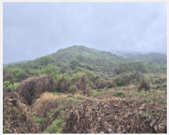  2025Ÿ��21222  ����