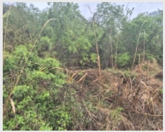  2025Ÿ��21222  ����