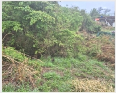  2025Ÿ��21222  ����