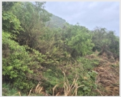  2025Ÿ��21222  ����