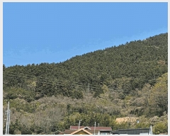  2025Ÿ��21238 �泲 �뿵�� �ѻ�� �ϼҸ� ��134      ����(�Ӿ�)���