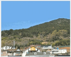  2025Ÿ��21238 �泲 �뿵�� �ѻ�� �ϼҸ� ��134      ����(�Ӿ�)���