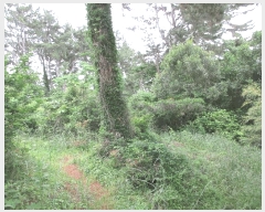  2025Ÿ21255 泲 뿵 õ 889       (Ӿ)