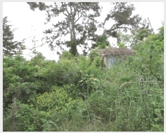  2025Ÿ21255 泲 뿵 õ 889       (Ӿ)