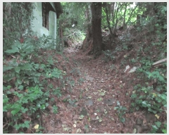  2025Ÿ21255 泲 뿵 õ 889       (Ӿ)